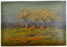 Baky Albert (1868-1944) : Virágzó fák. Olaj, karton, jelzett, 22×33 cm