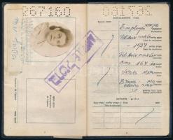 1963 Fényképes Izraeli útlevél, számos bejegyzéssel, okmánybélyegekkel, maszatos vászonkötésben/
19...