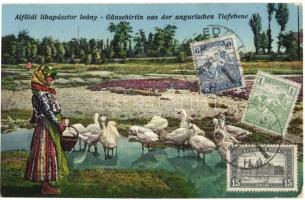 Alföldi libapásztor lány / Gänsehirtin aus der ungarischen Tiefebene / Hungarian folklore, goose girl, TCV card