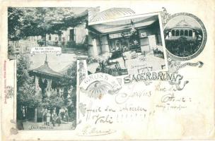 1898 Savanyúkút, Sauerbrunn; Anton Mayer szálloda, étterem / hotel, restaurant. Art Nouveau, floral (vágott / cut)