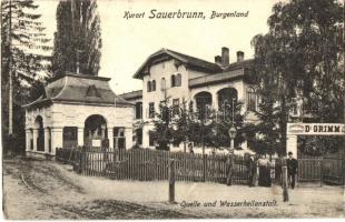 Savanyúkút, Sauerbrunn; Dr. Grimm szanatóriuma és vízgyógyintézete / Quelle und Wasserheilanstalt / spa entry gate (EK)