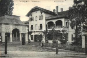 Savanyúkút, Sauerbrunn; Dr. Grimm szanatóriuma és vízgyógyintézete / Quelle und Wasserheilanstalt / spa entry gate (EB)