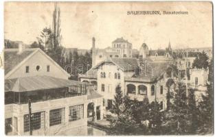 Savanyúkút, Sauerbrunn; Dr. Grimm szanatóriuma és vízgyógyintézete / Quelle und Wasserheilanstalt / spa entry gate (EB)