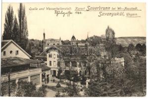 Savanyúkút, Sauerbrunn; Dr. Grimm szanatóriuma és vízgyógyintézete / Quelle und Wasserheilanstalt / spa entry gate (RB)