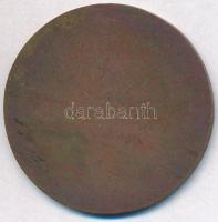 Szántó Gergely (1886-1962) 1927. "Királyi Magyar Egyetemi Nyomda" Br emlékérem (41mm) T:2 ...