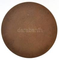 Rápolti Lajos (1880-1954) 1918. "A közös munkában egyesült erővel 1918" Br emlékplakett (5...