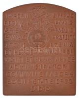 Anton Scharff (1845-1903) 1903. "Nagykállói Kállay Béni 1839-1903" jelzetlen Br plakett &q...