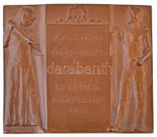 1907. "Nemzetközi Sütő-Czukrász és Rokonipari Kiállítás" Br plakett (88,76g/47x57mm) T:1-,...