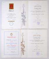 16db-os kitüntetés adományozói irat, viselői igazolvány tétel valamint egy darab, átadáson készült f...