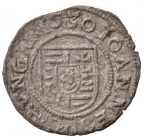 1530A-B Denár Ag "Szapolyai János" (0,43g) T:2
Hungary 1530A-B Denar Ag "John Szapol...
