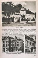 Pesti Hírlap könyvtára. A szépművészetek könyve. Bp., 1940, Pesti Hírlap Rt. Kiadói aranyozott gerin...