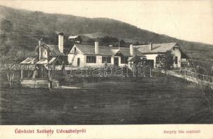 Székelyudvarhely, Odorheiu Secuiesc; Gergely-féle sósfürdő / salt spa (EB)
