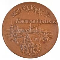 Lengyelország 1987. "Johannes Hevelius / Machinae Coelestis" Br emlékplakett (69mm) T:2
P...