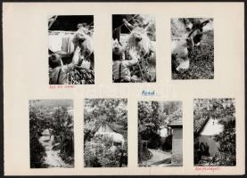 1971-1973 Kosd, Miskolctapolca, Dobogókő, Börzsöny, Tata, Salgó, 53 db fotó, városképek, tájképek, papírlapra ragasztva, többségük feliratozva, képméret: 6x9 cm