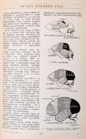 Az élet csodái I-III. kötet. H. G. Wells, Julian Huxley és George Philip Wells nagy biológiája. Ford...