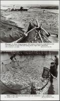 cca 1960-1970 4 db halászattal kapcsolatos MTI-fotó, feliratozva, különböző méretben