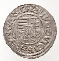 1521K-A Denár Ag "II. Lajos" (0,52g) T:2
Hungary 1521K-A Denar Ag "Louis II" (0...