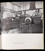 A 100 éves Fővárosi Vízművek. Bp., 1967, Mezőgazdasági Könyvkiadó Vállalat. Első kiadás. Kiadói műbő...