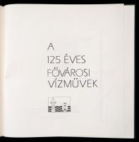 A 125 éves Fővárosi Vízművek. Szerk.: Debreczeny Imre. Bp., é.n, Fővárosi Vízművek. Kiadói egészvász...