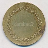 DN "Szent László" fém emlékérem (40mm) T:2,2- karc