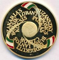 Rónay Attila (1971-) 2003. "Magyarország-Anglia 6:3 50. évforduló" aranyozott Ag emlékérem...