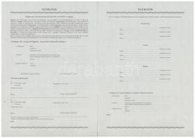 ~1990. "Első Danubius Közraktározási és Kereskedelmi Zrt. Közraktározási Jegy" kitöltetlen...