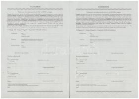 ~1990. "Első Danubius Közraktározási és Kereskedelmi Zrt. Közraktározási Jegy" kitöltetlen...