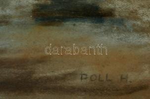 Poll jelzéssel: Virágcsendélet. Pasztell, papír, üvegezett keretben, 68×49 cm