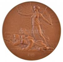 Osztrák-Magyar Monarchia 1914. "Az első világháború kezdete" Br emlékérem. Szign.: Rudolf ...