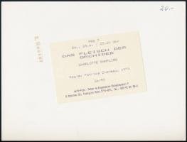 Charlotte Rampling (1946-) angol színésznő aláírt fotója  / Autograph signature on photo 16x21 cm