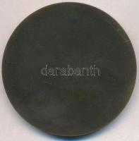 ~1920-1930. "A Budapesti Ágostoni Evangélikus Főgimnázium 100 éves fennállásának emlékére"...