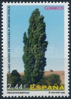 Trees (VIII), Fák (VIII)
