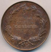 Mayer Elek (1840-1919) / Anton Fabris 1880. "Széchenyi István halálának 20. évfordulójára"...