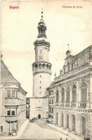 Sopron, Városház és torony (vágott / cut)