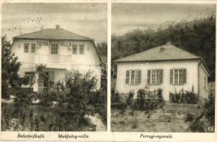 Balatonfűzfő, Makfalvy villa, Parragi nyaraló, Tátra Villa (fa)