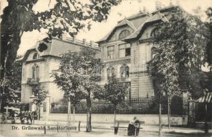 Budapest VII. Dr. Grünwald szanatóriuma; Városligeti fasor 13-15. (EK)