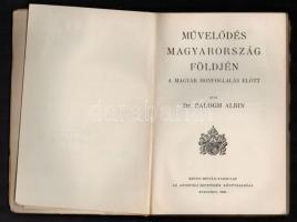 Dr. Balogh Albin: Művelődés Magyarország földjén a magyar honfoglalás előtt. Szent István Könyvek 22...