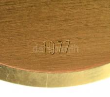 14 K arany Omega Geneve férfi mechanikus karóra, gyíkbőr szíjjal, jó, működő állapotban /14 C gold m...