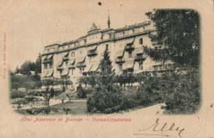 Brunnen Hotel Axenstein