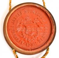 1910 A Magyar Királyi József Műegyetem gépészmérnöki oklevele, papír, fatokos műanyag függőpecséttel