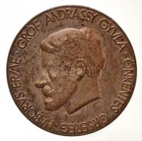 1919. "Gróf Andrássy Gyula Önkéntes Őrsereg Háborús Érme" ezüstözött Fe jelvény (38mm) T:2 / Hungary 1919. 'Earl Gyula Andrássy' Volunteer Guard's War Medal" silver plated Fe badge (38mm) C:XF