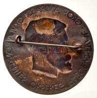 1919. "Gróf Andrássy Gyula Önkéntes Őrsereg Háborús Érme" ezüstözött Fe jelvény (38mm) T:2...