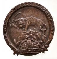 ~1917. Erdélyi Portyázó Különítmény Fe sapkajelvény (36mm) T:1- / Hungary ~1917- Transylvanian Raiding Party Fe cap badge (36mm) C:AU