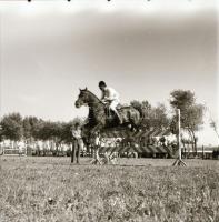 cca 1965 Sinka Antal (?-?) hagyatékából (aki a velencei AGROKOMPLEX fotósa volt az 1960-as, 1970-es ...