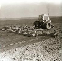 cca 1965 Sinka Antal (?-?) hagyatékából (aki a velencei AGROKOMPLEX fotósa volt az 1960-as, 1970-es ...