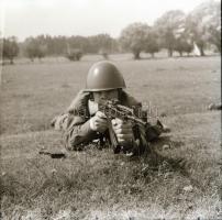 cca 1965 Sinka Antal (?-?) hagyatékából (aki a velencei AGROKOMPLEX fotósa volt az 1960-as, 1970-es ...