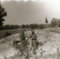 cca 1965 Sinka Antal (?-?) hagyatékából (aki a velencei AGROKOMPLEX fotósa volt az 1960-as, 1970-es ...