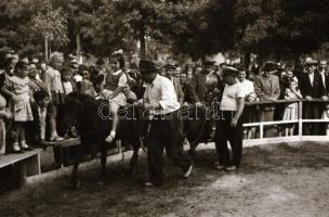 cca 1952 Budapest, Vidámpark, 14 db vintage negatív, Kotnyek Antal (1921-1990) fotóriporter hagyaték...