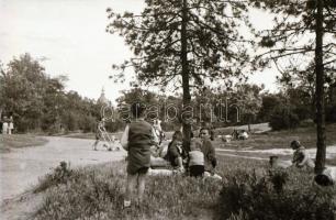 cca 1952 Budapest, Vidámpark, 14 db vintage negatív, Kotnyek Antal (1921-1990) fotóriporter hagyaték...