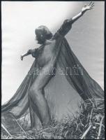 cca 1970 Fekete démon tánca, mozgásművészeti fotósorozat, 5 db vintage fotó, 21x16 cm